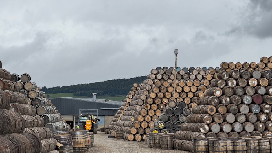 Understanding Whisky Production: From Grain to Glass